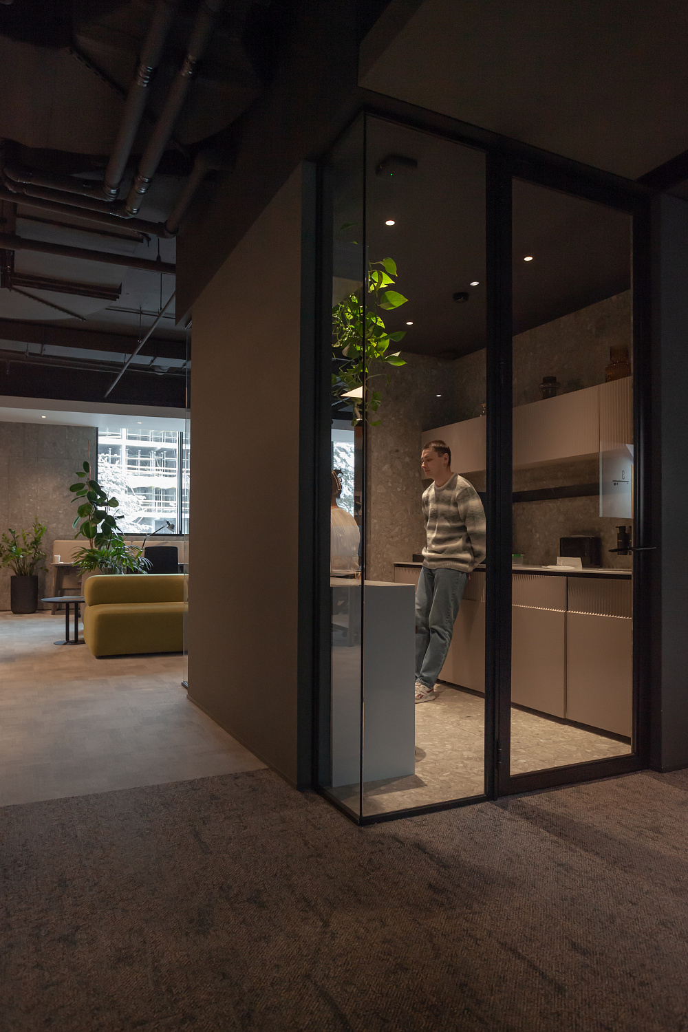 3707_23  Брусника