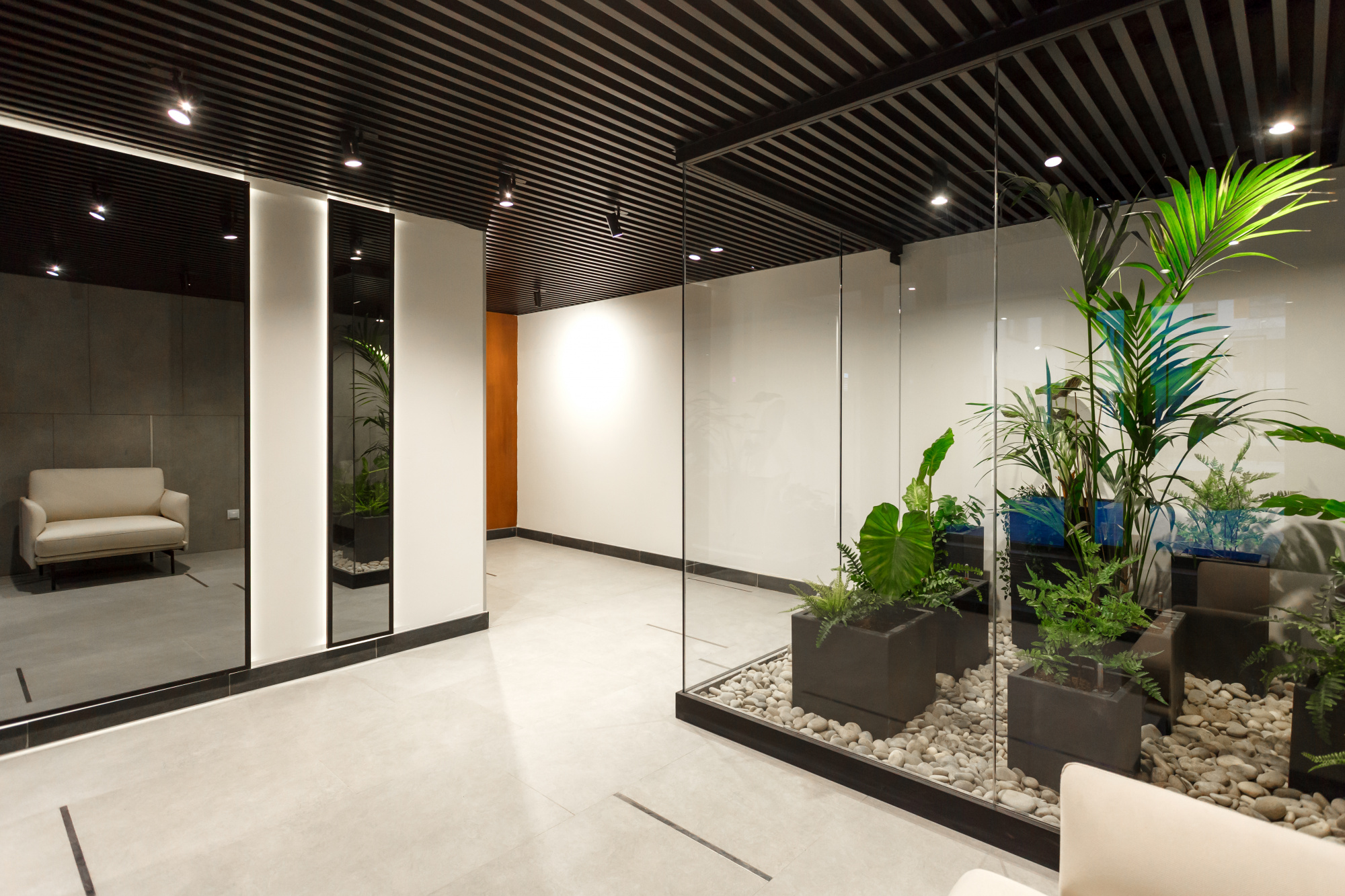 Флорариума (Фитозоны)