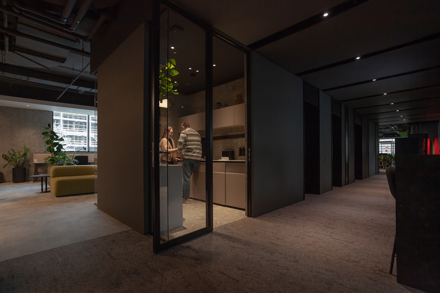 3707_23  Брусника